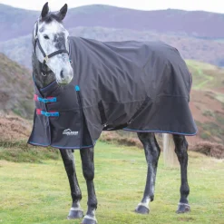 Shires Highlander Original 200g Turnout Rug