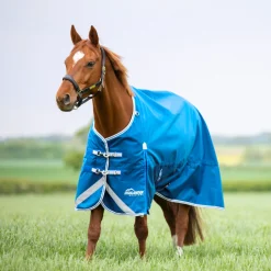 Shires Highlander Original 200g Turnout Rug