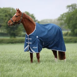 Shires Highlander Original 50g Turnout Rug