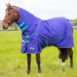 Shires Highlander Original 50g Turnout Rug & Neck
