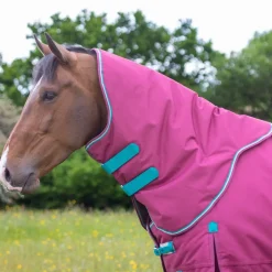 Shires Highlander Original 300g Turnout Rug & Neck
