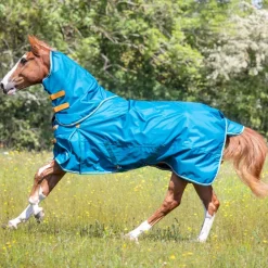Shires Highlander Original Lite Turnout Rug & Neck