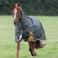 Shires Highlander Plus 50g Combo Turnout Rug