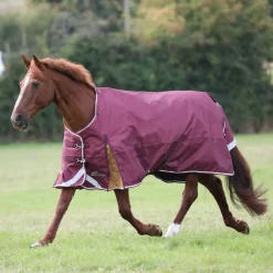 Shires Highlander Plus 100g Turnout Rug