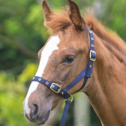 Shires Nylon Foal Slip