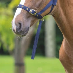 Shires Nylon Foal Slip