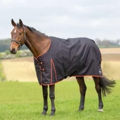 Shires Ontario 220g Turnout Rug