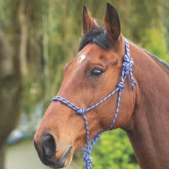 Shires Rope Control Headcollar