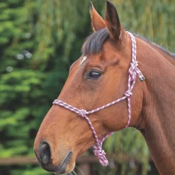 Shires Rope Control Headcollar