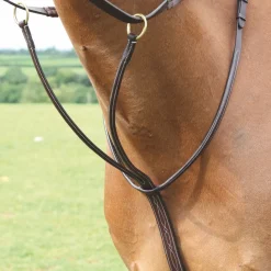Shires Salisbury Running Martingale