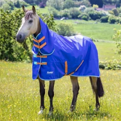 Shires Tempest Original 50g Combo Turnout Rug