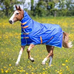 Shires Tempest Original 50g Combo Turnout Rug