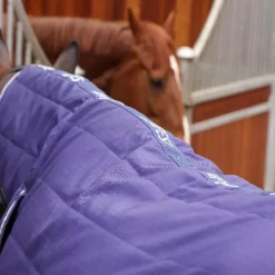 Shires Tempest Original 100g Stable Combo Rug