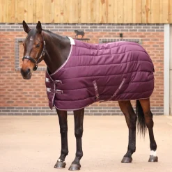 Shires Tempest Original 300g Stable Rug
