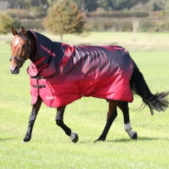 Shires Tempest Original 200g Turnout Combo
