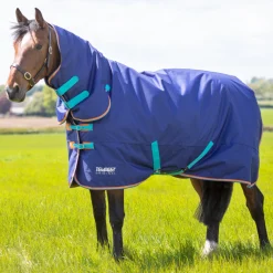 Shires Tempest Original 100g Turnout Combo Rug
