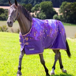 Shires Tempest Original 100g Turnout Rug