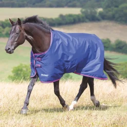 Shires Tempest Original 100g Turnout Rug