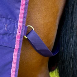 Shires Tempest Original 100g Turnout Rug