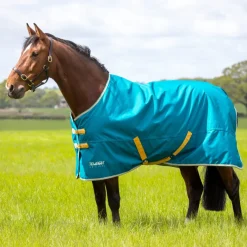 Shires Tempest Original 50g Turnout Rug