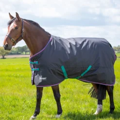Shires Tempest Original 300g Turnout Rug