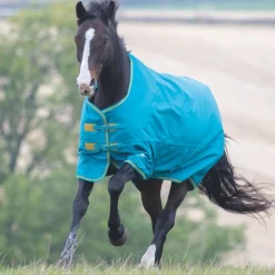 Shires Tempest Original 300g Turnout Rug