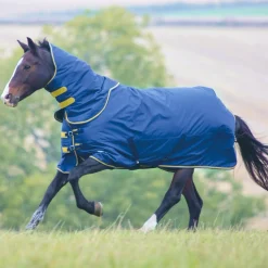 Shires Tempest Original 300g Turnout Rug with Detachable Neck
