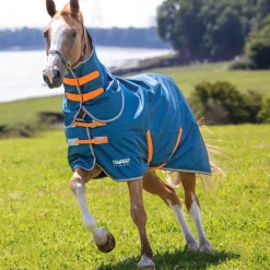 Shires Tempest Original Lite Turnout Rug with Detachable Neck