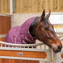 Shires Tempest Original 300 Stable Combo
