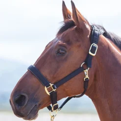 Shires Topaz Nylon Headcollar