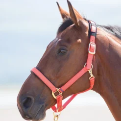 Shires Topaz Nylon Headcollar