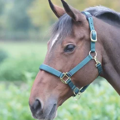 Shires Topaz Nylon Headcollar