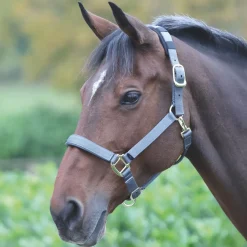 Shires Topaz Nylon Headcollar