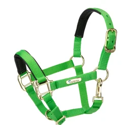 Shires Topaz Nylon Headcollar