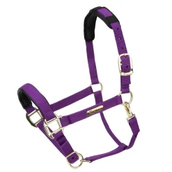 Shires Topaz Nylon Headcollar