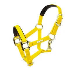 Shires Topaz Nylon Headcollar