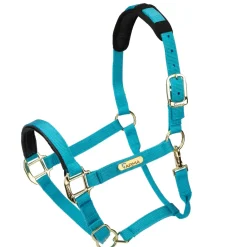 Shires Topaz Nylon Headcollar