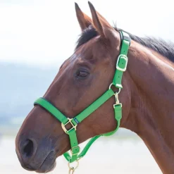 Shires Topaz Nylon Headcollar