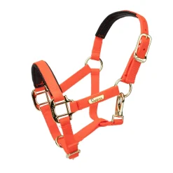 Shires Topaz Nylon Headcollar