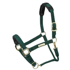 Shires Topaz Nylon Headcollar