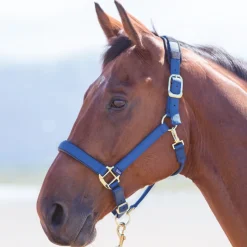 Shires Topaz Nylon Headcollar