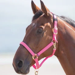 Shires Topaz Nylon Headcollar