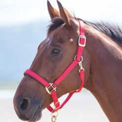 Shires Topaz Nylon Headcollar