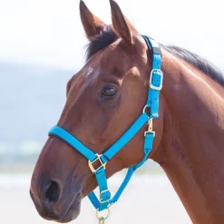 Shires Topaz Nylon Headcollar