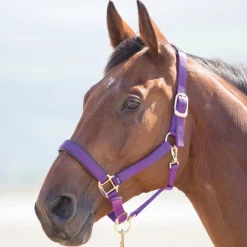 Shires Topaz Nylon Headcollar