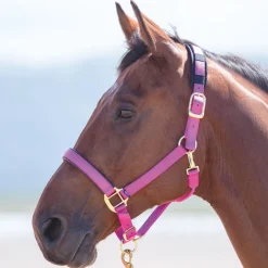 Shires Topaz Nylon Headcollar
