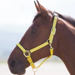 Shires Topaz Nylon Headcollar