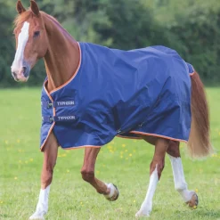 Shires Typhoon 100g Turnout Rug