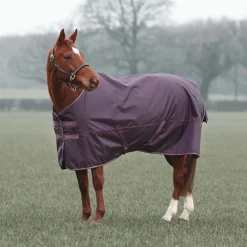 Shires Typhoon 100g Turnout Rug