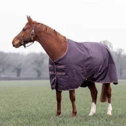 Shires Typhoon 100g Turnout Rug
